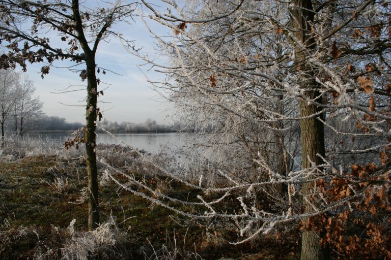 Mehr über den Artikel erfahren Winterimpression